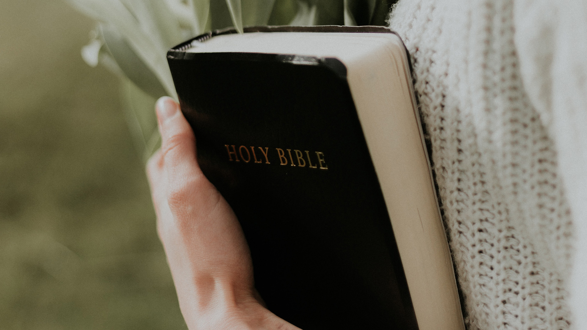 woman-holding-Holy-Bible