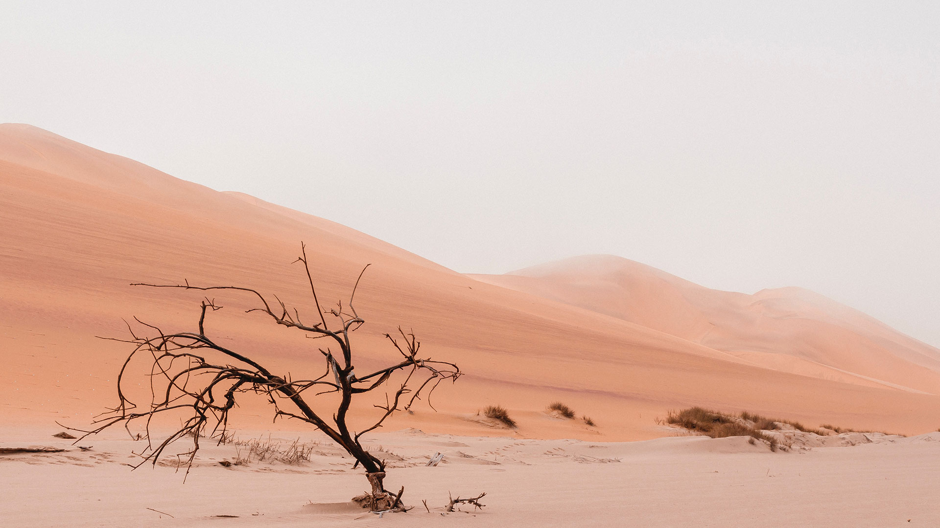 barren-desert